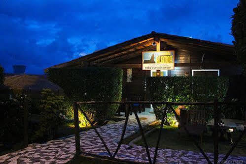 Alamoa 2*